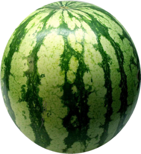 watermelon PNG image, picture, download-236